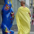 Sternbild